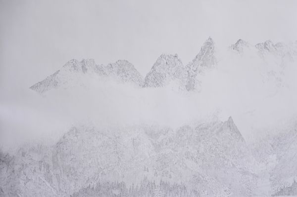 Robert   B. Käppeli